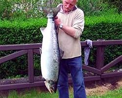 Foyle Salmon Record 250.jpg